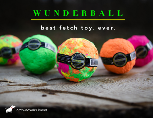 Wunderball Bouncy Ball for Dogs Bounces Unpredictably & Floats