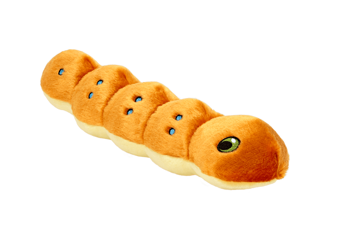 Fluff & Tuff Spicy Caterpillar Soft Dog Toy with Squeaker Machine Washable-Boats n Barks