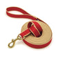Green Market Dog and Puppy Training Lead